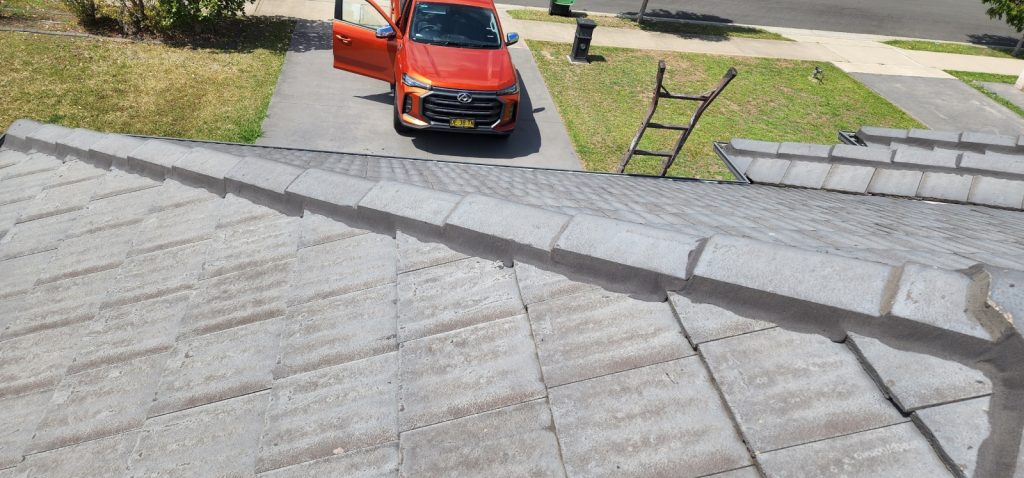 Legendary Roofing Sydney 18